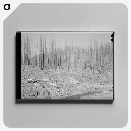 アートパネル-Lumber Workers' Housing, Tillamook County
 - ラッセル リー Canvas.