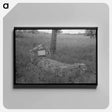 アートパネル-Old Grave near Cruger, Mississippi
 - ラッセル リー Canvas.