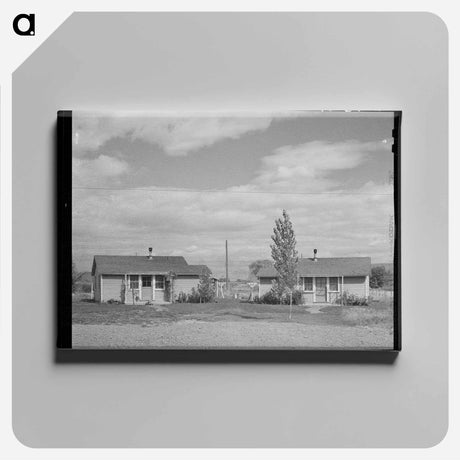 アートパネル-Houses at FSA Migratory Labor Camp, Yakima, Washington
 - ラッセル リー Canvas.