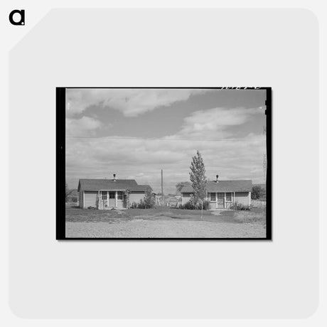 アートポストカード-Houses at FSA Migratory Labor Camp, Yakima, Washington
 - ラッセル リー Postcard.