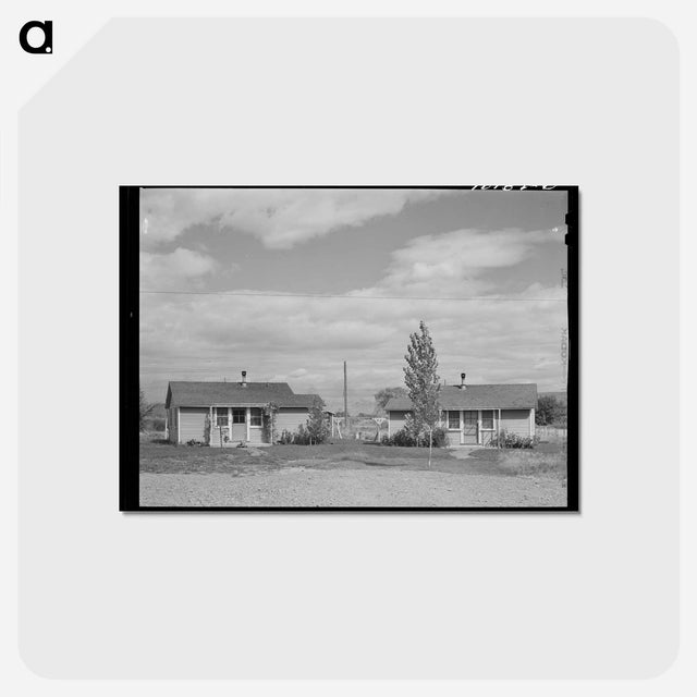 アートポストカード-Houses at FSA Migratory Labor Camp, Yakima, Washington
 - ラッセル リー Postcard.