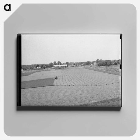 アートパネル-Alfalfa Field, Prague, Oklahoma
 - ラッセル リー Canvas.