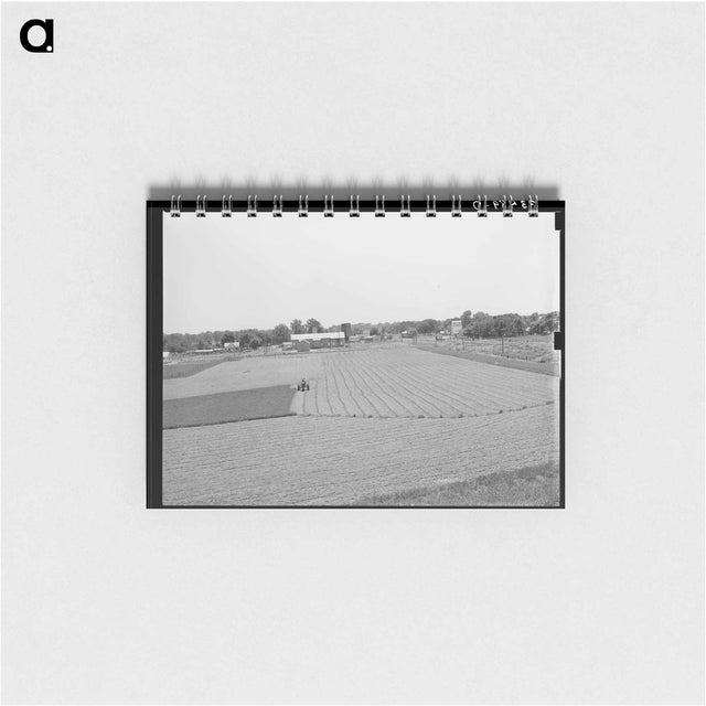 アートメモ帳-Alfalfa Field, Prague, Oklahoma
 - ラッセル リー Memo.
