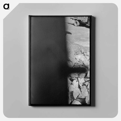 アートパネル-Cabbages with Mexican Graders, Alamo, Texas
 - ラッセル リー Canvas.