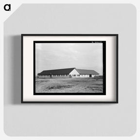 アートポスター-Sunflower Plantation near Merigold, Mississippi
 - ラッセル リー Poster.