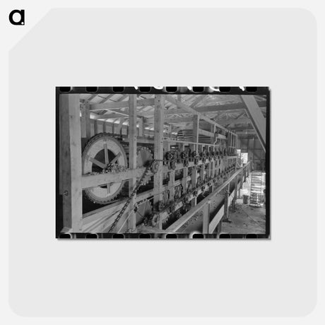 アートポストカード-Machinery of Stationary-Type Mechanical Hop Picker, Yakima County, Washington
 - ラッセル リー Postcard.