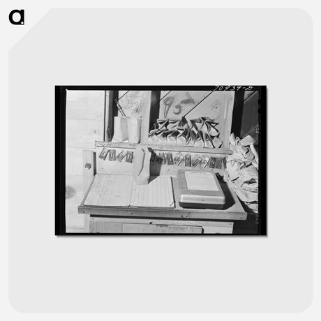 アートポストカード-Seed Samples at Seed Mill
 - ラッセル リー Postcard.