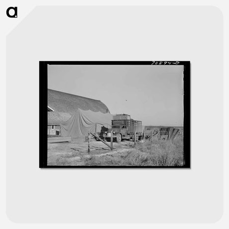 アートポストカード-Equipment Arrival at Caldwell FSA Camp
 - ラッセル リー Postcard.