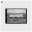 アートポストカード-Haying in the Animas River Valley
 - ラッセル リー Postcard.