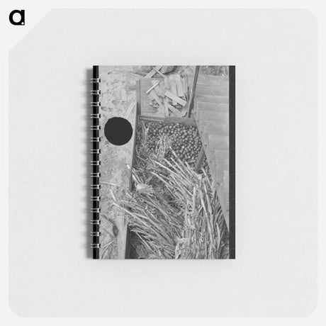 アートメモ帳-Gristmill on Road to Skyline Drive, Virginia
 - ラッセル リー Memo.