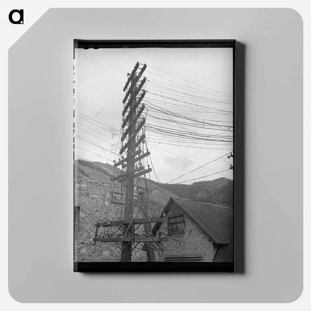 アートパネル-Electric Wiring, Telluride, Colorado
 - ラッセル リー Canvas.