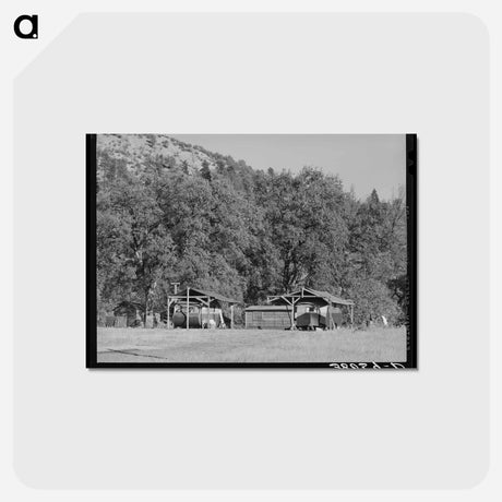 アートポストカード-Shasta Dam Workers' Encampment
 - ラッセル リー Postcard.