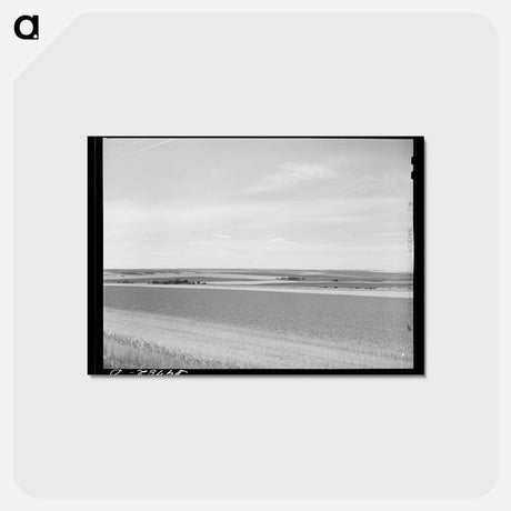 アートポストカード-Wheat Fields on Eureka Flats
 - ラッセル リー Postcard.