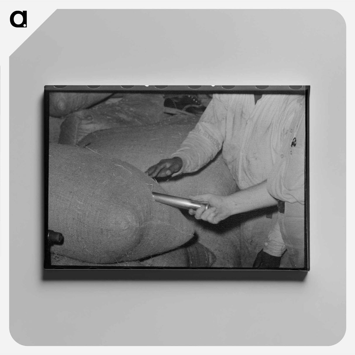 アートパネル-Rice Sampling, Abbeville, Louisiana
 - ラッセル リー Canvas.