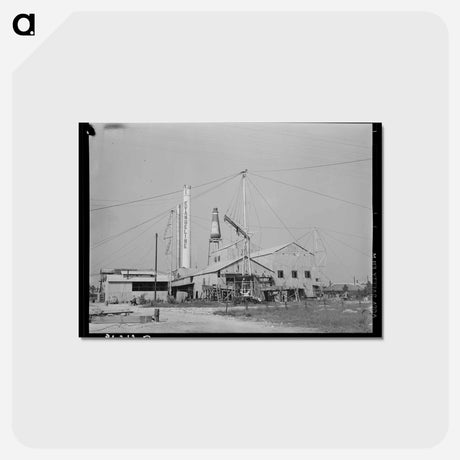 アートポストカード-Mora River Valley Farm
 - ラッセル リー Postcard.
