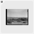 アートポストカード-Southeast Missouri Farms
 - ラッセル リー Postcard.