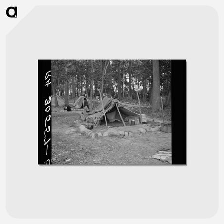 アートポストカード-Tent of Indian Blueberry Picker
 - ラッセル リー Postcard.