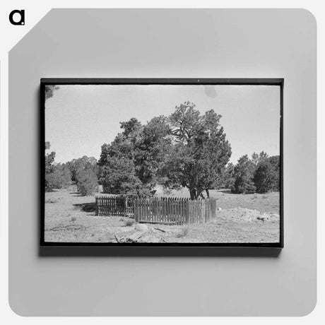 アートパネル-Graves in Mountain Cemetery, Pie Town, New Mexico
 - ラッセル リー Canvas.