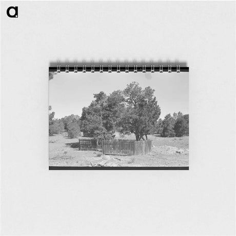 アートメモ帳-Graves in Mountain Cemetery, Pie Town, New Mexico
 - ラッセル リー Memo.
