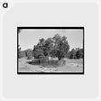 アートポストカード-Graves in Mountain Cemetery, Pie Town, New Mexico
 - ラッセル リー Postcard.