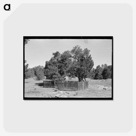 アートポストカード-Graves in Mountain Cemetery, Pie Town, New Mexico
 - ラッセル リー Postcard.