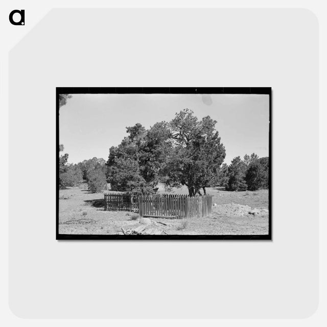 アートポストカード-Graves in Mountain Cemetery, Pie Town, New Mexico
 - ラッセル リー Postcard.