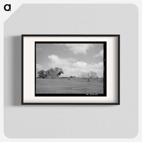 アートポスター-Landscape, Refugio County, Texas
 - ラッセル リー Poster.
