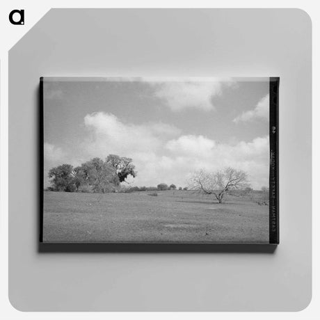 アートパネル-Landscape, Refugio County, Texas
 - ラッセル リー Canvas.