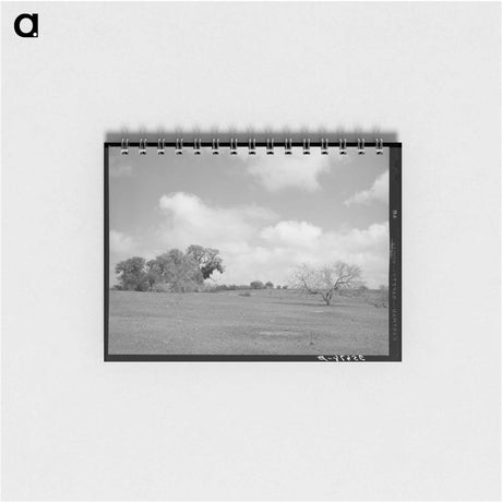 アートメモ帳-Landscape, Refugio County, Texas
 - ラッセル リー Memo.