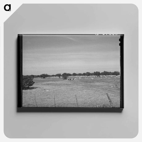 アートパネル-Kimble County Ranch with Goats
 - ラッセル リー Canvas.