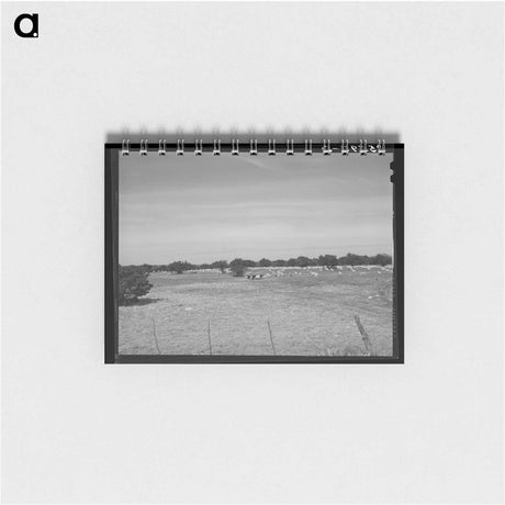 アートメモ帳-Kimble County Ranch with Goats
 - ラッセル リー Memo.