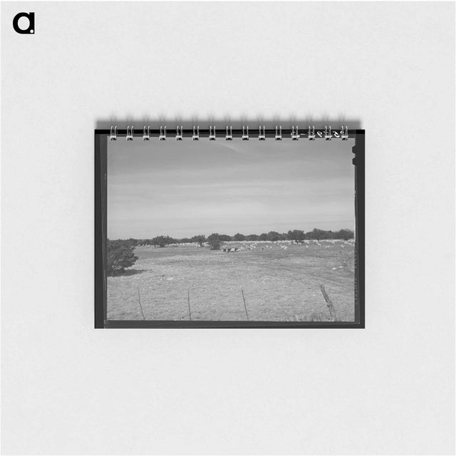 アートメモ帳-Kimble County Ranch with Goats
 - ラッセル リー Memo.