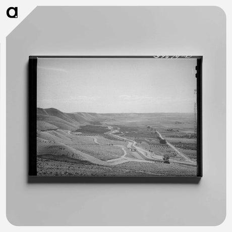 アートパネル-Cherry Orchards at Emmett, Gem County
 - ラッセル リー Canvas.