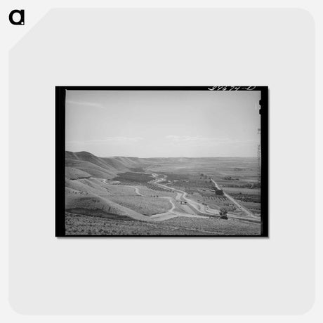 アートポストカード-Cherry Orchards at Emmett, Gem County
 - ラッセル リー Postcard.