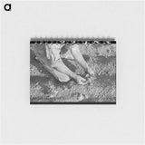 アートメモ帳-Farmer Examining Bean Plant, Pie Town, New Mexico
 - ラッセル リー Memo.