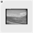 アートポストカード-Wheat Lands, Idaho County, Idaho
 - ラッセル リー Postcard.