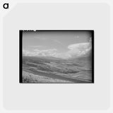 アートポストカード-Wheat Lands, Idaho County, Idaho
 - ラッセル リー Postcard.