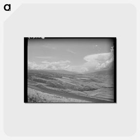 アートポストカード-Wheat Lands, Idaho County, Idaho
 - ラッセル リー Postcard.
