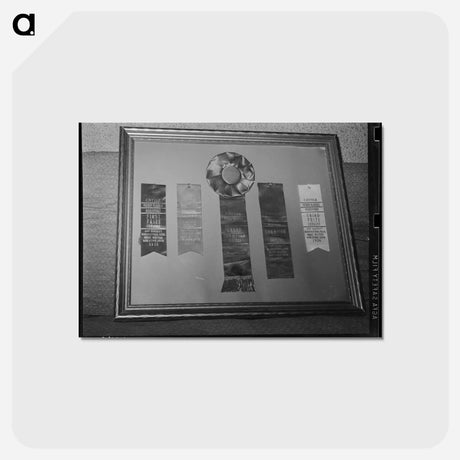 アートポストカード-Prizes Won at Great Western Livestock Show by the "Walking X" Ranch, Marfa, Texas
 - ラッセル リー Postcard.
