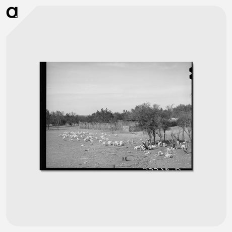 アートポストカード-Children Before a Stockade
 - ラッセル リー Postcard.