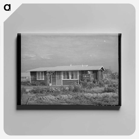 アートパネル-House on Mineral King Cooperative Farm
 - ラッセル リー Canvas.