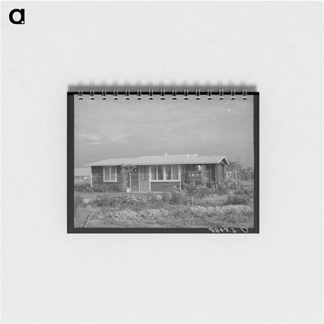 アートメモ帳-House on Mineral King Cooperative Farm
 - ラッセル リー Memo.