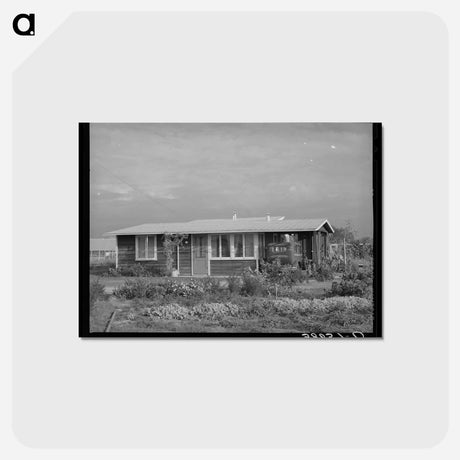 アートポストカード-House on Mineral King Cooperative Farm
 - ラッセル リー Postcard.