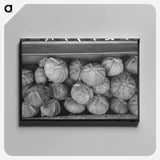 アートパネル-Cabbages at Roadside Stand Near Greenfield, Massachusetts
 - ラッセル リー Canvas.