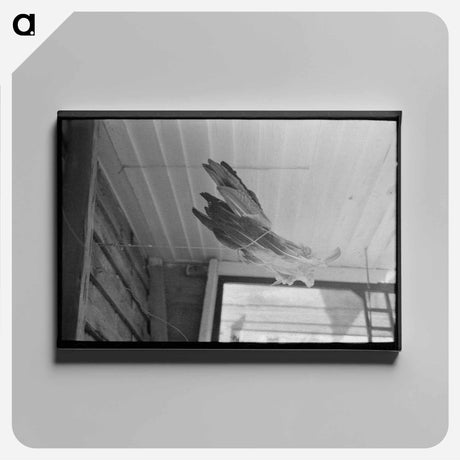 アートパネル-Turkey Feathers Drying on a Cajun Porch
 - ラッセル リー Canvas.