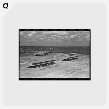 アートポストカード-Migratory Labor Camp, Sinton, Texas
 - ラッセル リー Postcard.