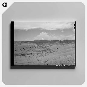 アートパネル-Early Spring Snowstorm, Socorro County, New Mexico
 - ラッセル リー Canvas.