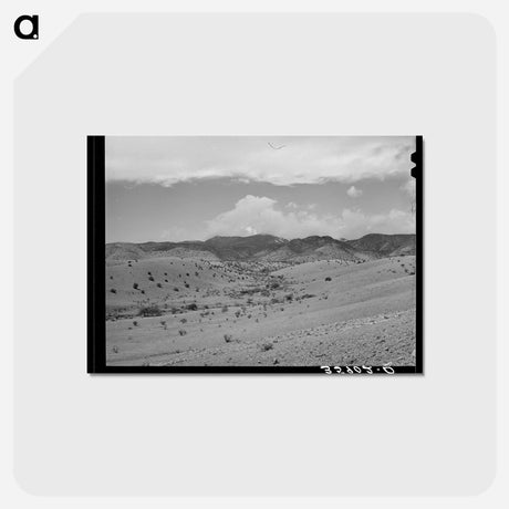 アートポストカード-Early Spring Snowstorm, Socorro County, New Mexico
 - ラッセル リー Postcard.