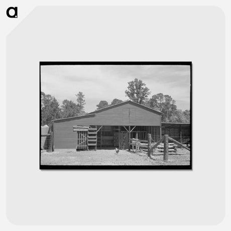 アートポストカード-Barnyard of FSA Client, Sabine Farms
 - ラッセル リー Postcard.