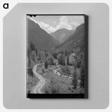 アートパネル-Mountain Stream and Road, Ouray County, Colorado
 - ラッセル リー Canvas.